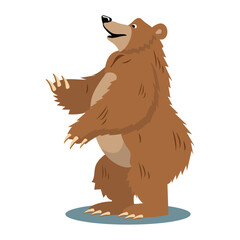 Bear of colorful set. This bear illustration showcase the fusion of design and cartoon artistry on a clean white canvas. Vector illustration.