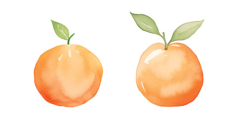 cute orange watercolor vector illustration 