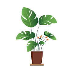 Home flowers of colorful set. The cartoon design of a flowerpot adds a touch of whimsy and charm to home interior, showcased on a minimalist white backdrop. Vector illustration.