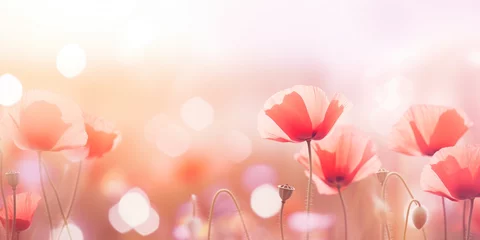 Foto auf Glas soft focus poppy flowers with bokeh glow light, beautiful wildflower blossom field landscape. © SAHURI