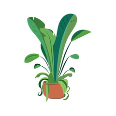 Home flowers of colorful set. This design combines functionality and aesthetics, offering a delightful flowerpot for home use, elegantly portrayed on a blank white canvas. Vector illustration.