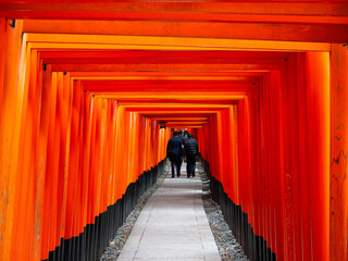 Fototapeta premium Visitors walk along a walkway lined with sacred wooden pillars in the shrine.