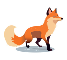 Obraz premium Fox of colorful set. A whimsical cartoon design of a fox brings a touch of enchantment and character to surroundings, set against a pure white backdrop. Vector illustration.