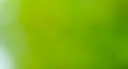 abstract green background