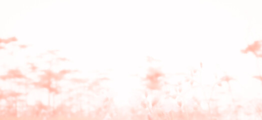 pink and green background