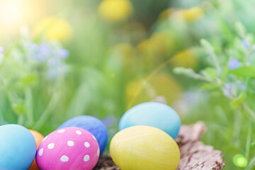 Lovely multicolored Easter eggs in sunlight over spring grass