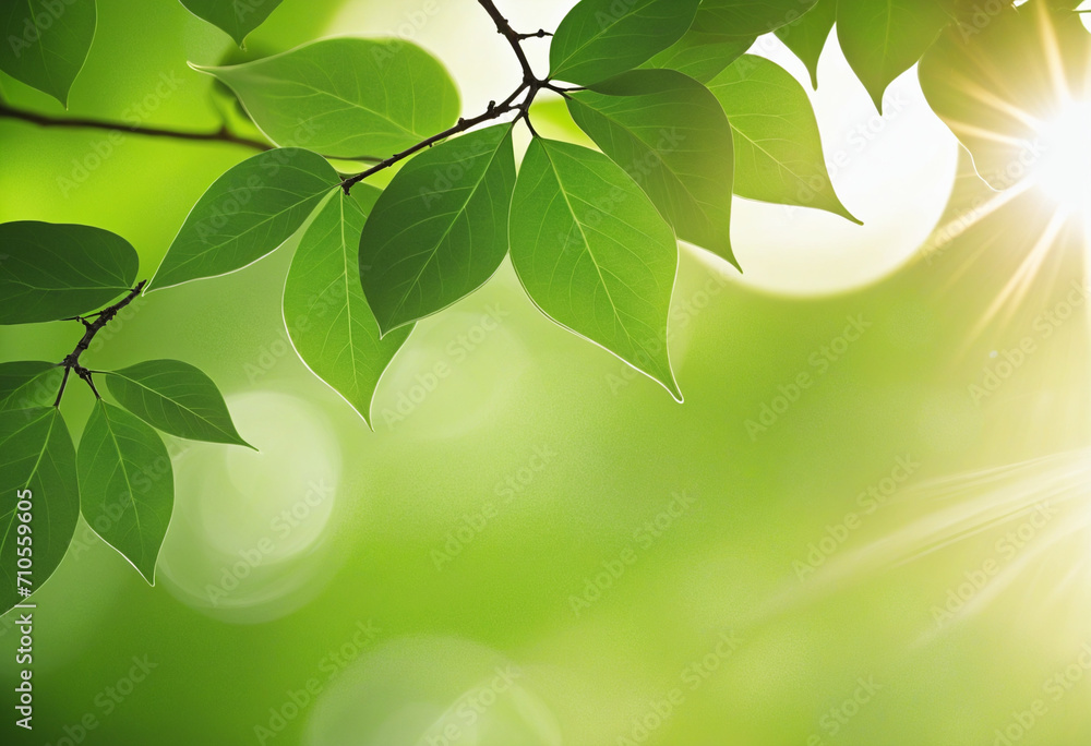 Poster nature-inspired abstract background with soft sunlight and green hues. ideal for advertising designs