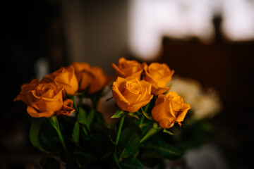  bouquet of orange roses with a soft-focus background.