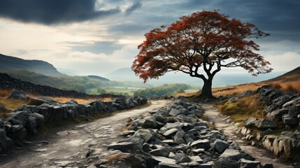 A majestic ash tree in a very unusual place, magical photography