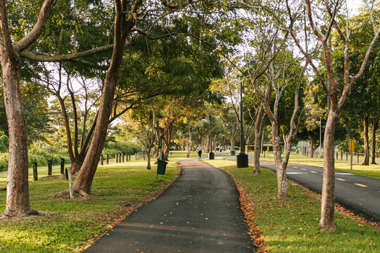 Recreational park sidewalk road from puerto rico for exercise
