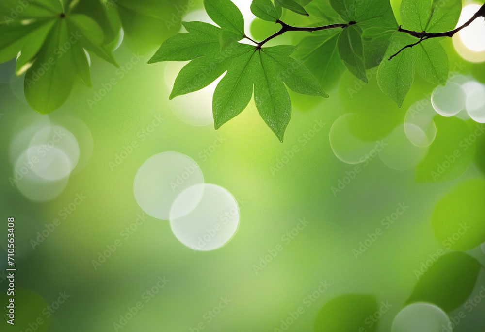 Poster blurry green nature background with abstract bokeh lights. high-quality free stock image of sunlight