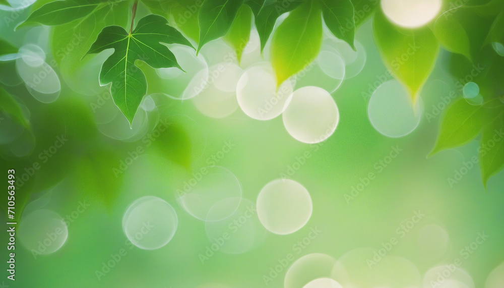 Poster blurry nature background with green leaves and bokeh lights. high-quality free stock photo of natura