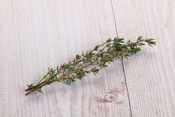 Thyme - aromatic seasoning herbal plant