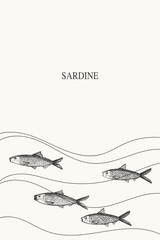 Obraz premium Sardine fish frame label background for text hand drawn border.Template with pichard seafood with small fish. Vector backdrop illustration with sardines for print, packaging, logo, card, flyer 