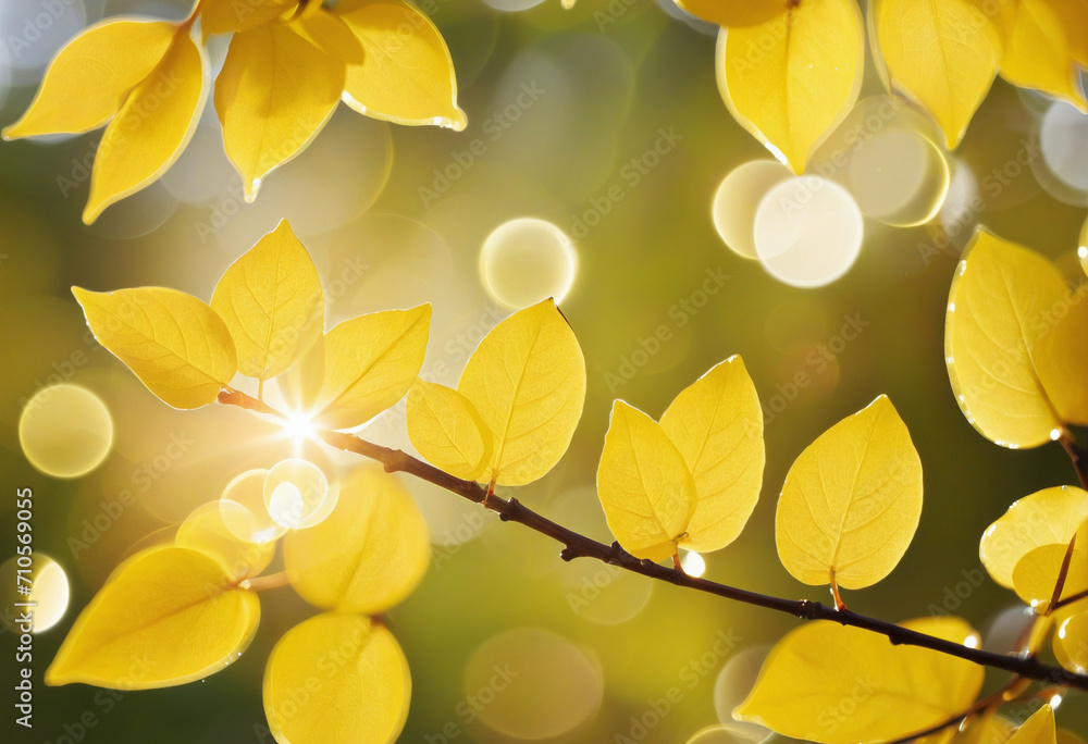 Poster blurry nature background with yellow leaves and bokeh lights for design. high-quality stock image fo