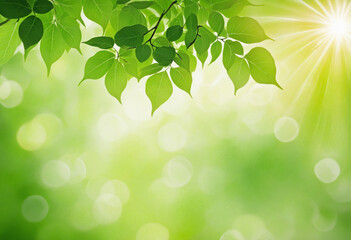 Nature-inspired abstract background with soft sunlight and green hues. Ideal for advertising designs with space for text. Blur effect creates a tranquil environment with bokeh sun rays.