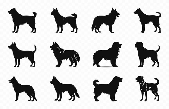 Alabai Dog Silhouettes vector Collection, Dogs breed Black Silhouette Set