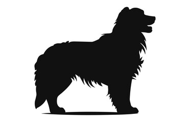 Alabai Dog black Silhouette vector isolated on a white background