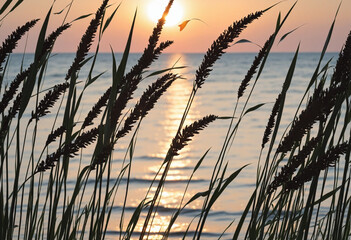 Ocean waves crashing behind sea grass silhouette