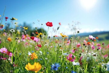 Obraz na płótnie Canvas Flower meadow in spring blue sky. Generative AI