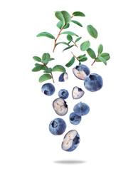 Group of whole and sliced blueberries with leaves close up in the air isolated on a white background