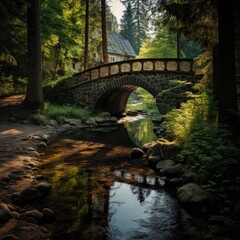 A bridge over a stream in the forest with trees in the background