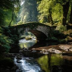 Stone bridge over a river in the forest. Long exposure shot.