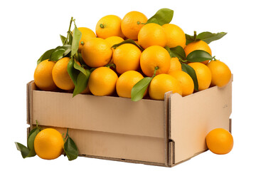 cardboard box with oranges on white background PNG