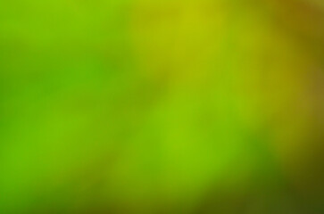 green abstract background