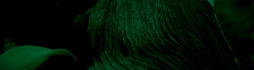 abstract dark green background