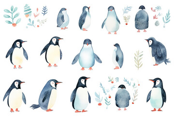Set Of Watercolor paintings Penguin  on white background. 