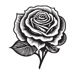 Rose vector