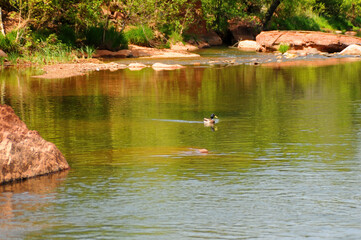 Oak Creek Arizona