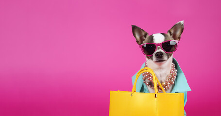 A fashionista dog with sun glasses and  shopping preparing for shopping, a Mid year sale , Promotion.