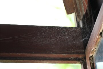 Cobweb on old wooden window frame indoors, closeup