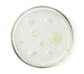 Petri dish with liquid sample on white background, top view