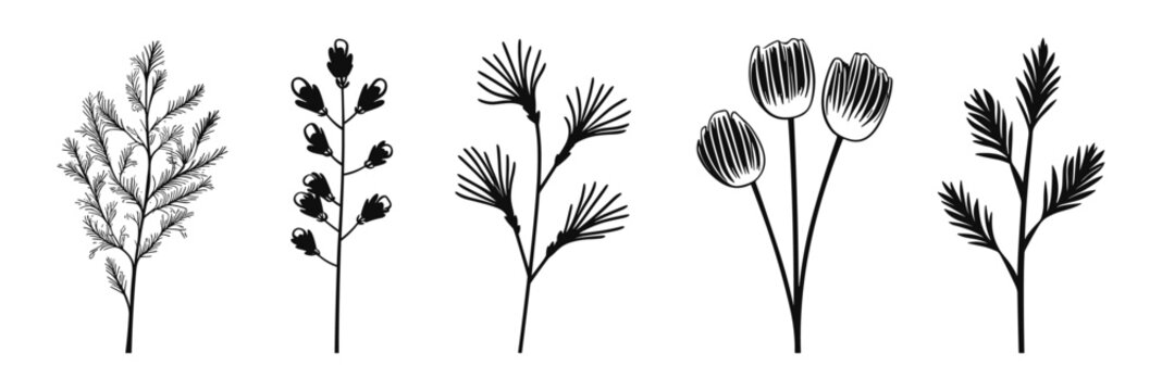 Hand-Drawn Botanical Elements & Pine Branch Vector Set. Perfect for Illustrations, Logos, and Holiday Decorations