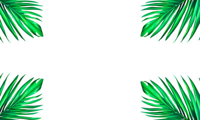 Green Palm Leaf Frame on transparent background. Floral background. tropical plants decoration element. PNG.
