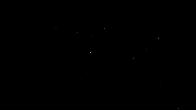 Flying fireflies vfx overlay with alpha channel and looped in apple prores