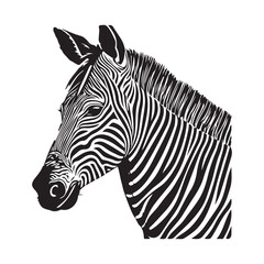 Zebra Vector