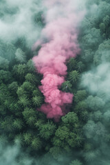 Flat lay of the forest with pink smoke.Pink and green color combination.