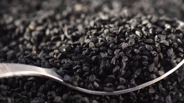 close-up of black cumin seeds falling in a heap on a spoon. slow motion. Asian food seasonings. black cumin seed harvest