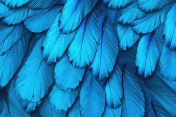 Foto op Plexiglas Abstract blue pattern from butterfly wings © darshika
