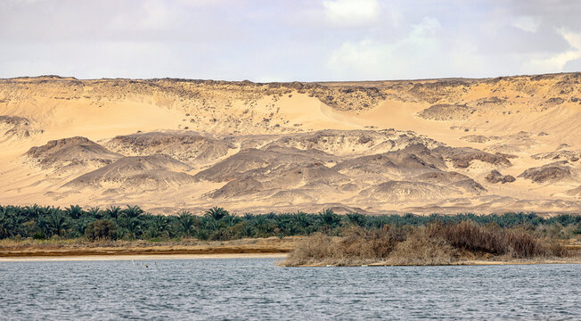 Bawiti oasis
