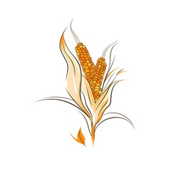 Modern logo leaves with two corn cobs isolated on white background. Corn as a dish of thanksgiving for the harvest.