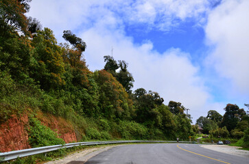 Landscape street road in forest jungle and mountain hill route walkway for thai people travelers journey travel visit trail hiking at Doi Inthanon National Park at Chiangmai in Chiang Mai, Thailand