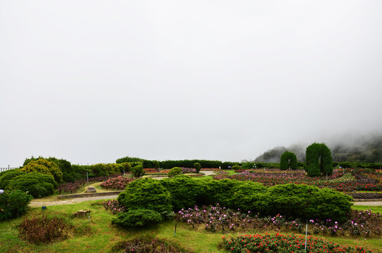View landscape gardening land garden of Doi Inthanon national park on mountain with mist raining in morning time for thai people travelers travel visit relax at Chiangmai city in Chiang Mai, Thailand