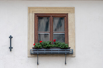 A closed wooden window with red geraniums on a light-colored wall.