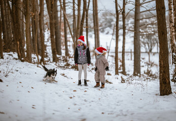 Dzieci z czapkami MIkołaja bawią się z psem w zimowym lesie - obrazy, fototapety, plakaty