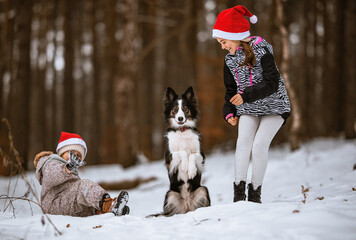 Dzieci przytulają psa border collie, który wykonuję sztuczkę w zimowym lesie